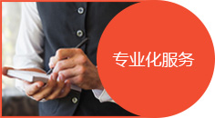 企业化服务